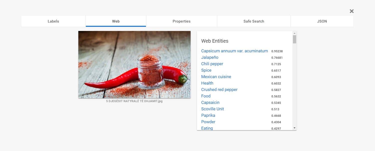 Google's Image Analysis - Easily detecting broad sets of objects on images
